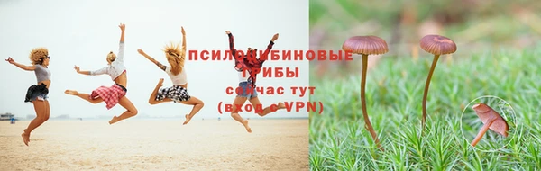 каннабис Навашино
